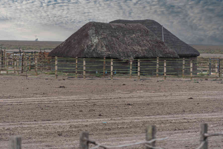 Huelva - parque nacional de Doñana 12.jpg